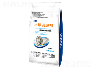 �����{�턩-С��-�����r�I