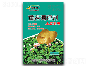 ���������ز��{�턩-��ʿ��