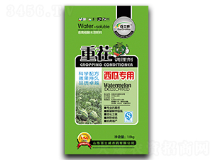 ���ό����ز��{�턩-��ʿ��