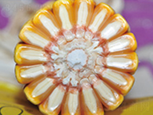 �|315-���׷N��-�����N�I