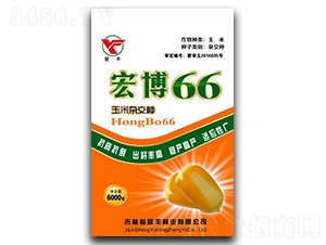 �격66-���׷N��-�u�S�N�I