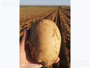 ����һ̖-�R����N��-����N�I