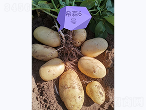 ϣɭ��̖-�R����N��-����N�I