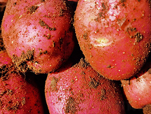 �t�-�R����N��-����N�I