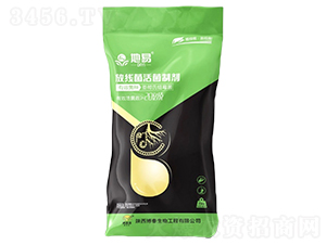 �ž�������Ƅ�-����-��������