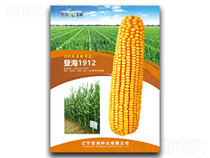 �Ǻ�1912-���׷N��-�Ǻ��N�I