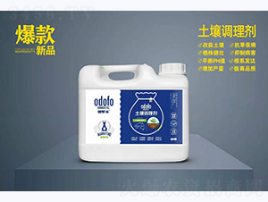 �����{�턩-�Ķ��S