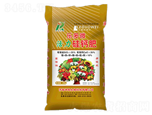 ����΢�������}��-���(y��ng)���� 