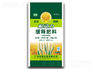 ������С�����þ�ጷ���-�긣����