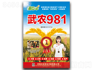 ���r981-С���N��-�����S