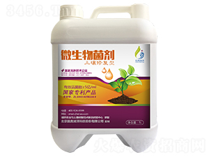 �����ޏ��;���-���W����