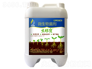 ΢�������-������-���W��(r��n)��