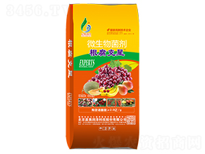 ΢������������w��-��������-���W����