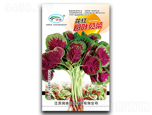 ���t�A�~�{��-�{�˷N��-���P�N�I