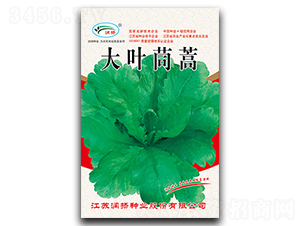 ���~����-����N��-���P�N�I