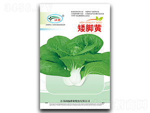 ���_�S-��˷N��-���P�N�I