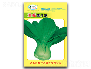 ���P������-��˷N��-���P�N�I