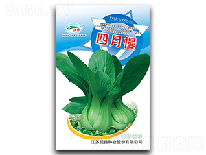 ������-��˷N��-���P�N�I