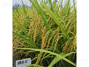 ����ռ-ˮ���N��-���P�N�I