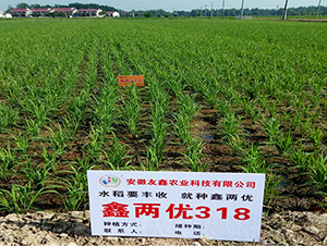 �΃Ƀ�318-ˮ���N��-���P�N�I