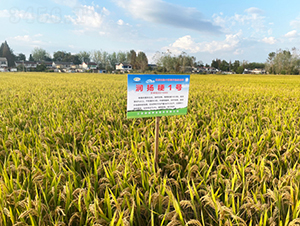 ��(r��n)�P(y��ng)��1̖(h��o)-ˮ���N��-��(r��n)�P(y��ng)�N�I(y��)