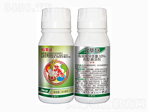 10%�p����-�����_-���r��