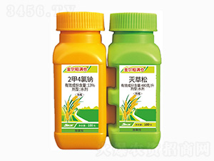 480gÿ�������+13%2��4���c-�𠖵��M�}-���r��