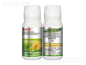 40%2�ס��p��-�����_-���r��