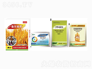 С�����݄�-��ȸ��-���r��