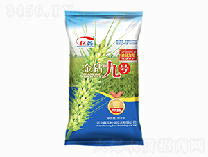 金鉆九號（小麥種子）-鑫農種業