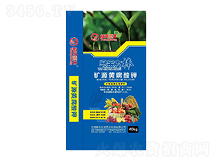 �VԴ�S�����-�����S-���r����