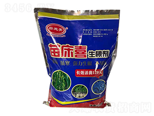 �紲ϲ������-�Pʩ������