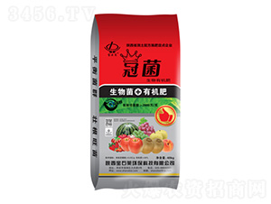 �ھ������ЙC��-��ʯ�R