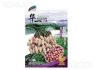 GS1210-�����N��-�Aһ�N�I