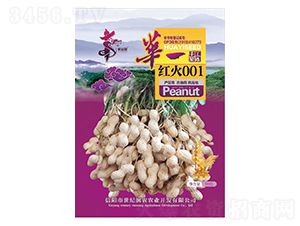 �Aһ�t��001-�����N��-�Aһ�N�I