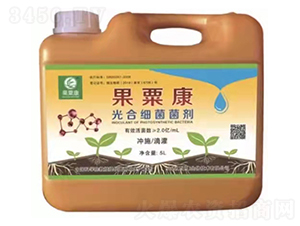 ��ϼ�������-���ڿ�