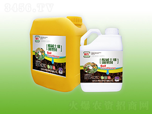 ��A�����{�턩-����-�f���_