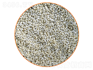 ���羏ጷ�-�����r�I