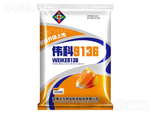 ���׷N��-����9136-�Є��N�I