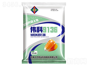 ���׷N��-����9136--�Є��N�I