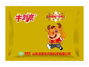 �������a(ch��n)�ײ�-ţ����-���՘�