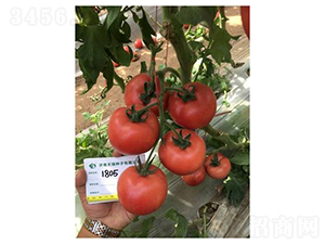 ���1805-���ѷN��-����N��