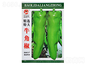 ţ�ǽ�-�����N��