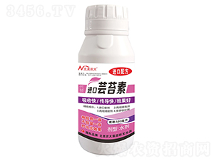 �����M���|̦��-�����r��