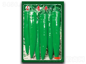 ���SF1-�⽷�N��-ʒ�зN�I