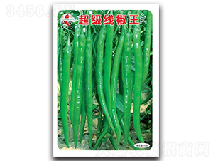 ����������F1-�����N��-ʒ�зN�I