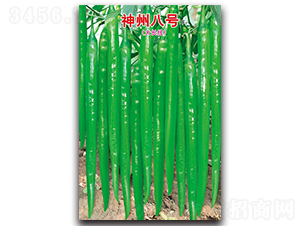 ���ݰ�̖F1-�����N��-ʒ�зN�I