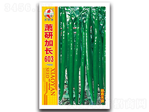 ʒ�м��L603-�����N��-ʒ�зN�I