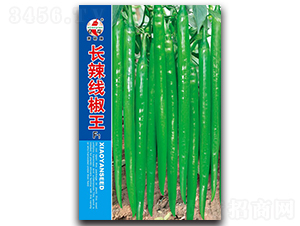 �L��������-�����N��-ʒ�зN�I