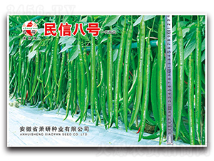 ���Ű�̖-�����N��-ʒ�зN�I